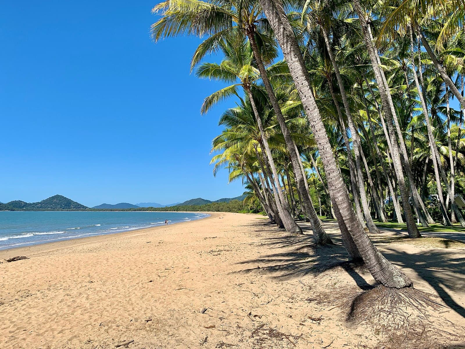 IRONMAN Cairns: palm cove foreshore