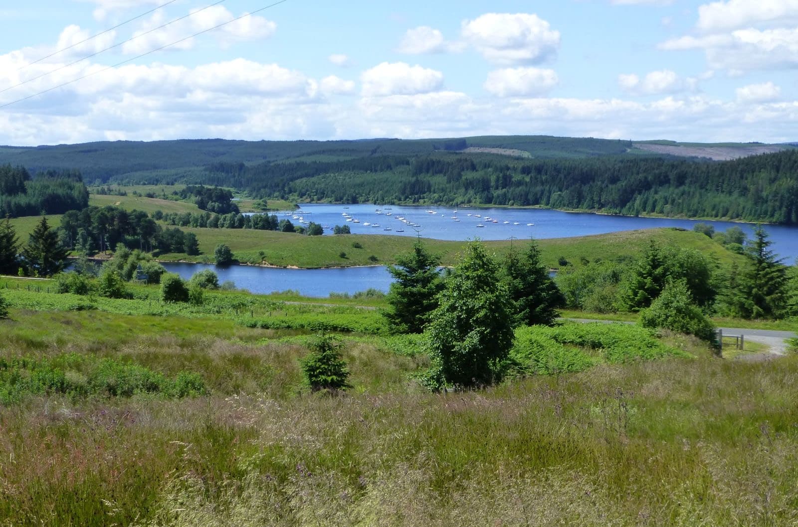 The Northumbrian Full Iron Distance: kielder water and forest, northumberland