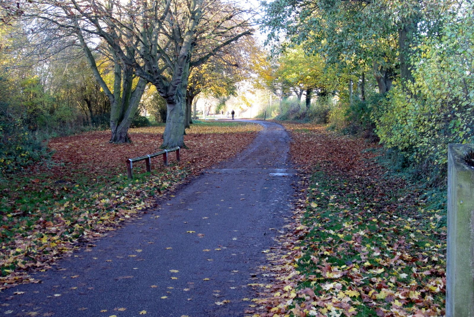 Cowman Triathlon (Middle Distance): path in emberton country park, run course area