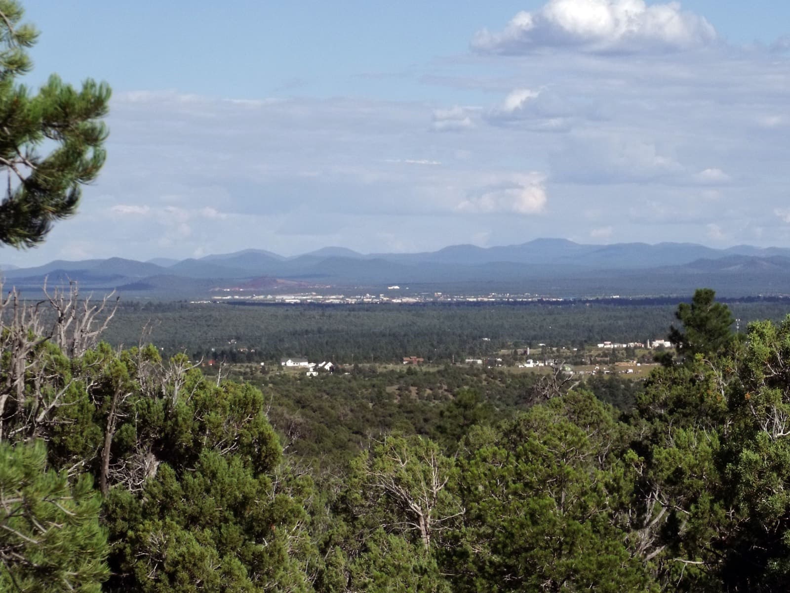 DeuceMan Long Course (Deuces Wild Endurance Festival): view of show low and surrounding forest