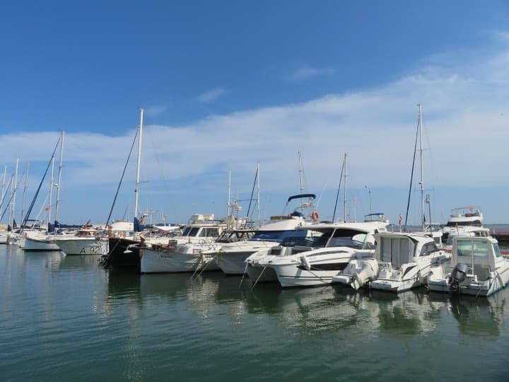 Race photo: Ironcat L'Ampolla (medium distance)