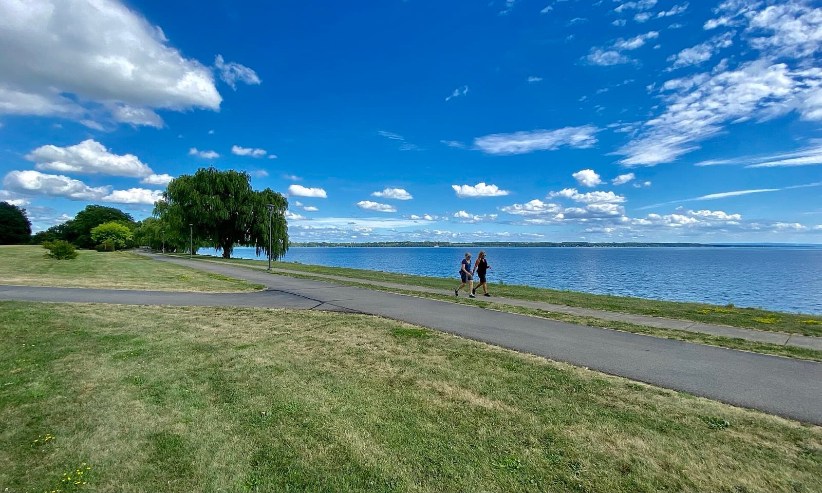 IRONMAN 70.3 Musselman: geneva lakefront park shoreline on seneca lake in summer