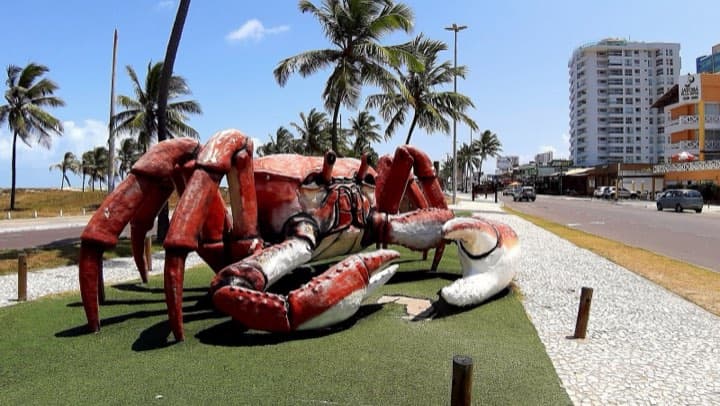 Race photo: IRONMAN 70.3 Sergipe