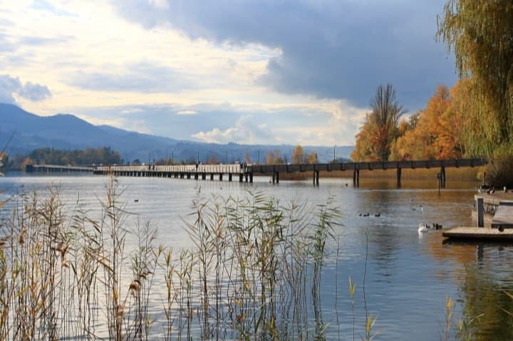 Race photo: IRONMAN 70.3 Switzerland