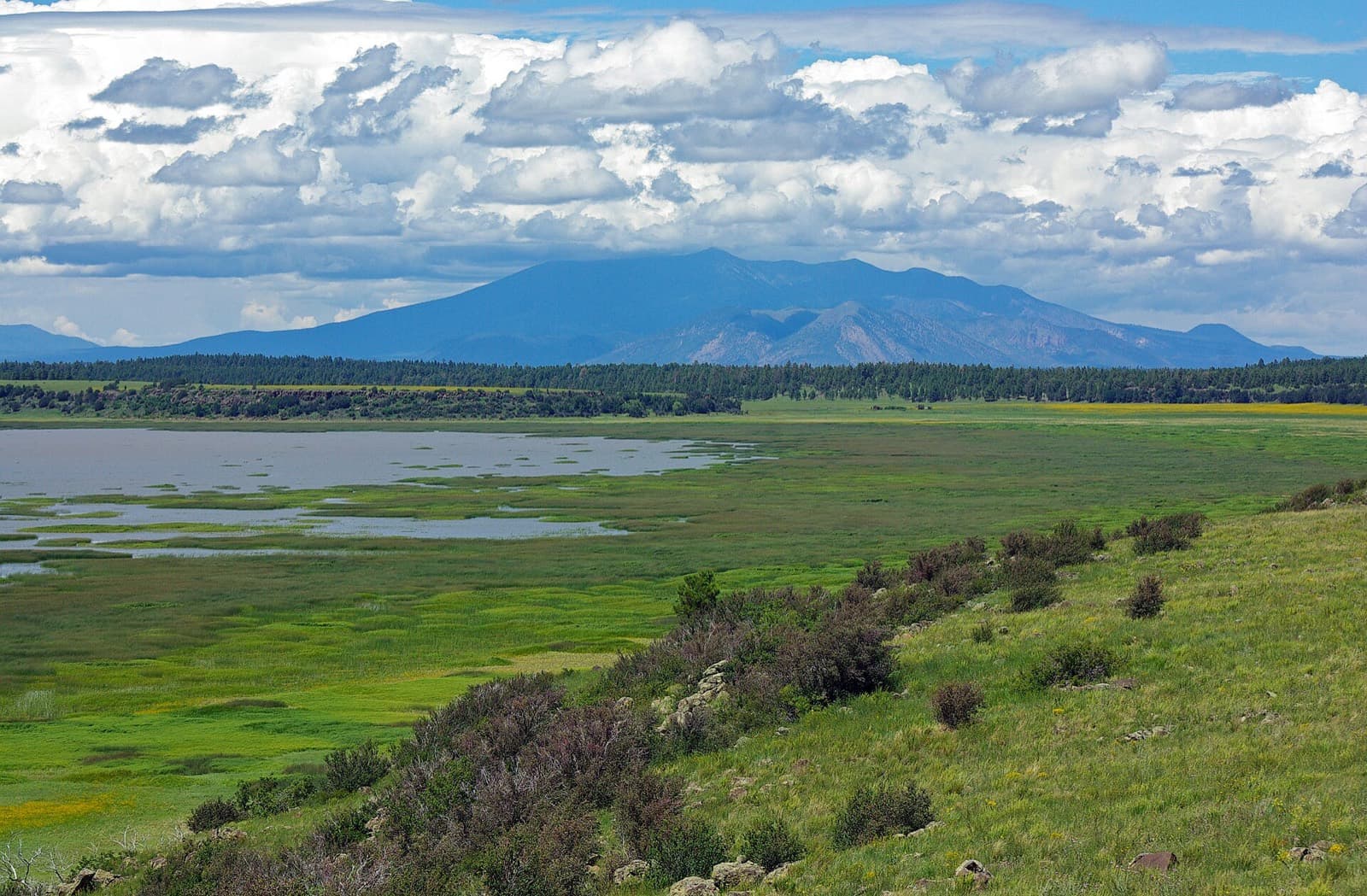 Mountain Man Long Course Triathlon: san francisco peaks and monsoon clouds from nearby mormon lake (coconino national forest)