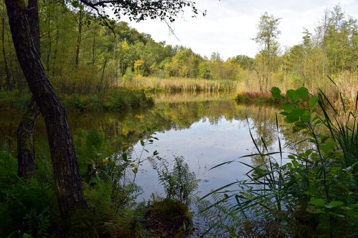 Destination scenery in Briesensee, Germany; location photo, not race day.
