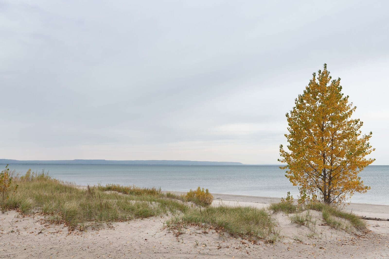 MultiSport Canada Wasaga Beach Triathlon: destination scenery in wasaga beach, canada; location photo, not race day.