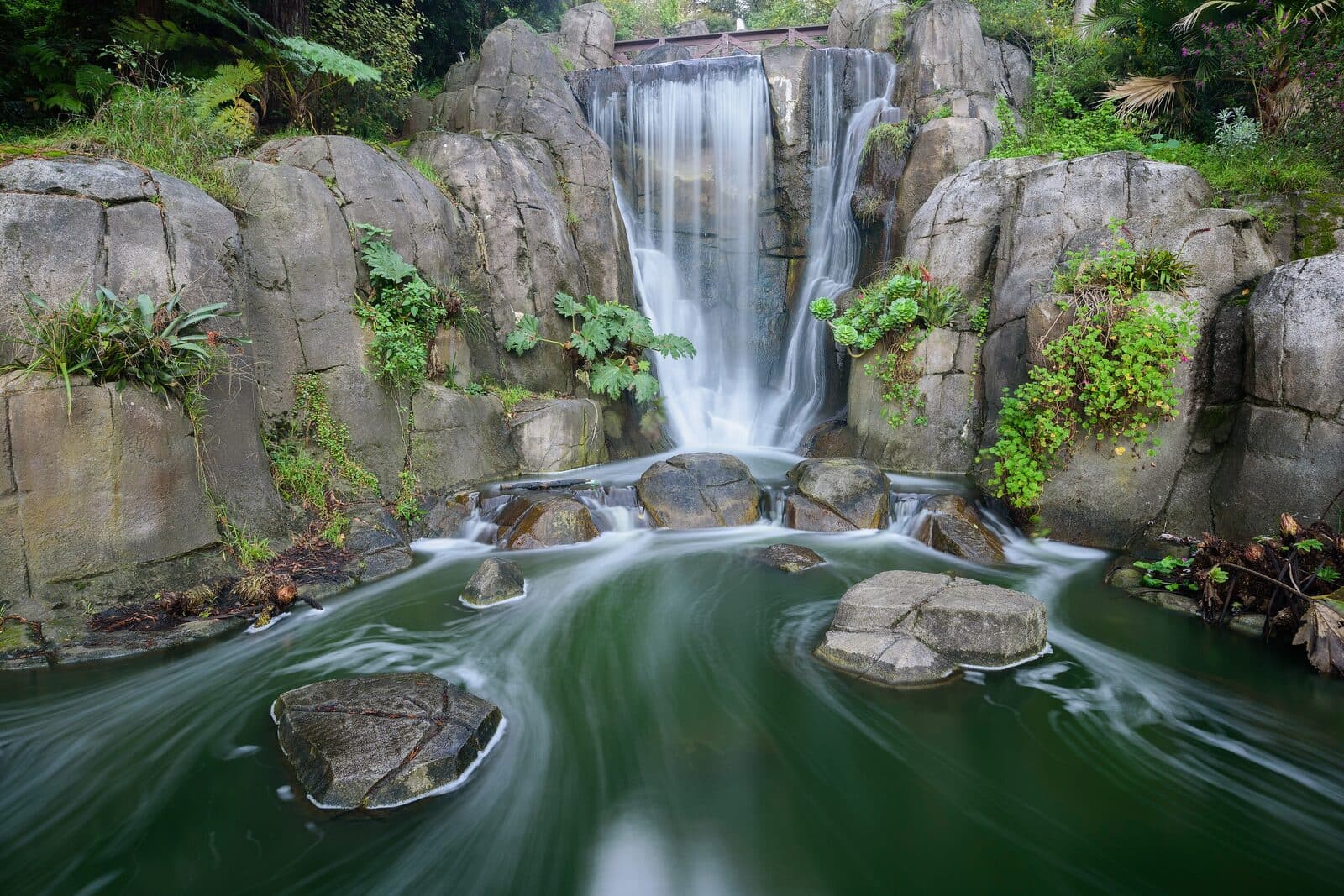 Golden Gate Half Marathon & 5K: huntington falls, golden gate park, san francisco
