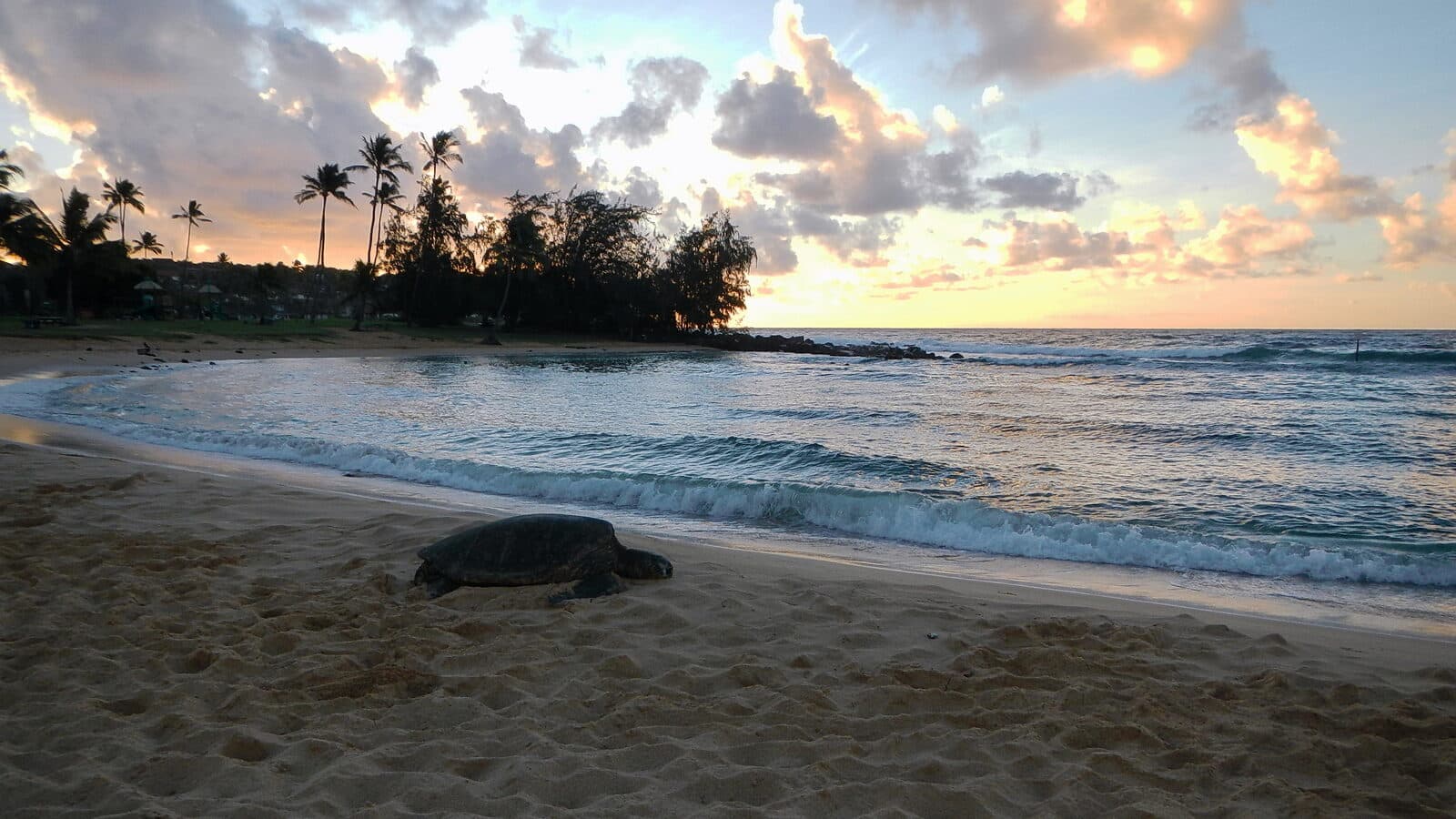 Kauai Marathon & Half Marathon: poipu beach at sunset, near the kauai half marathon’s start and finish.