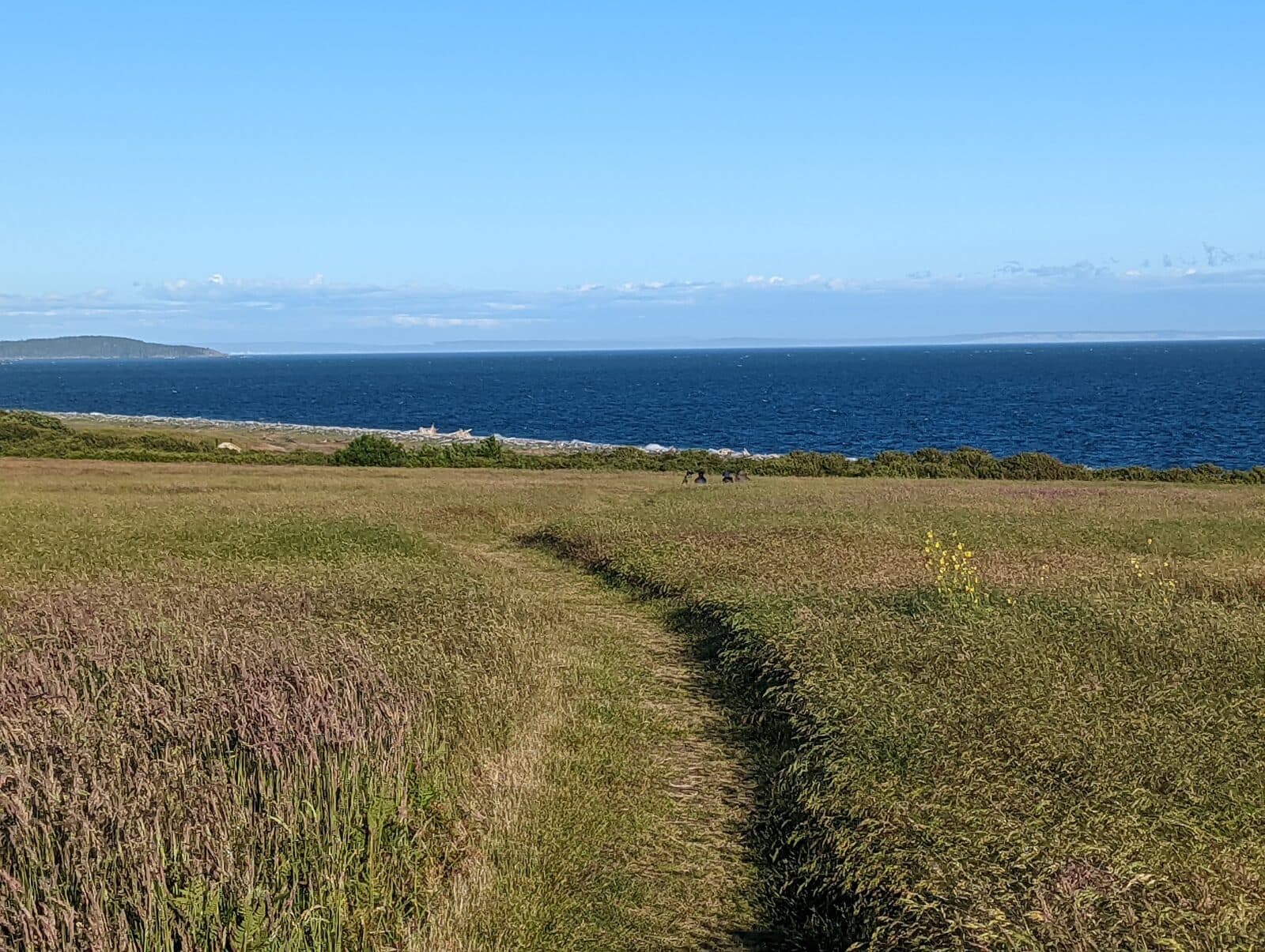San Juan Island Half: south beach in san juan island national historical park, the san juan island half start area.