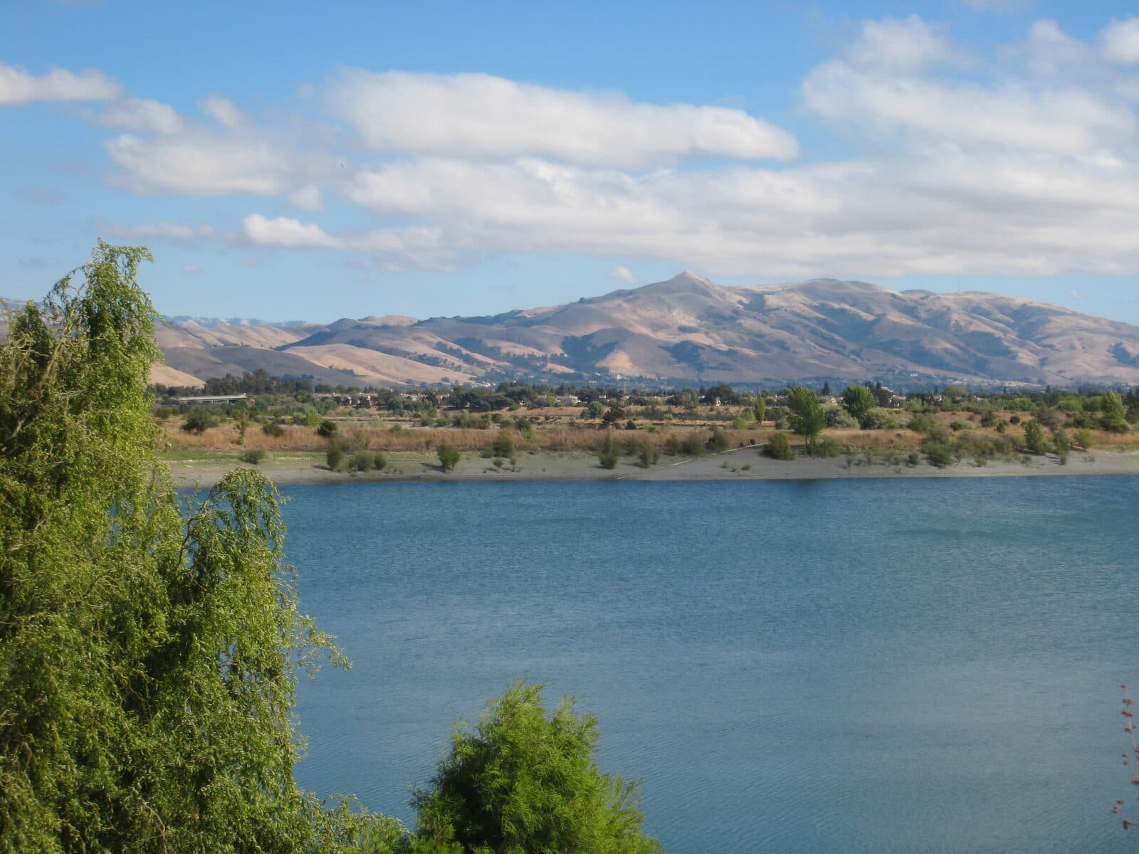 Western Pacific Half Marathon, 10K & 5K: quarry lakes regional recreation area, fremont, the race start and finish. a lake with mission peak behind it.