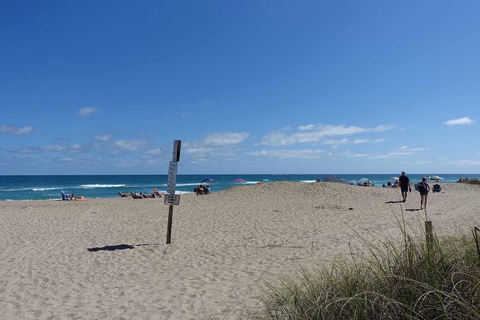 Game On! Escape to Hutchinson Island Triathlon #1: stuart beach on hutchinson island — destination scenery near stuart; not a photo of this event.