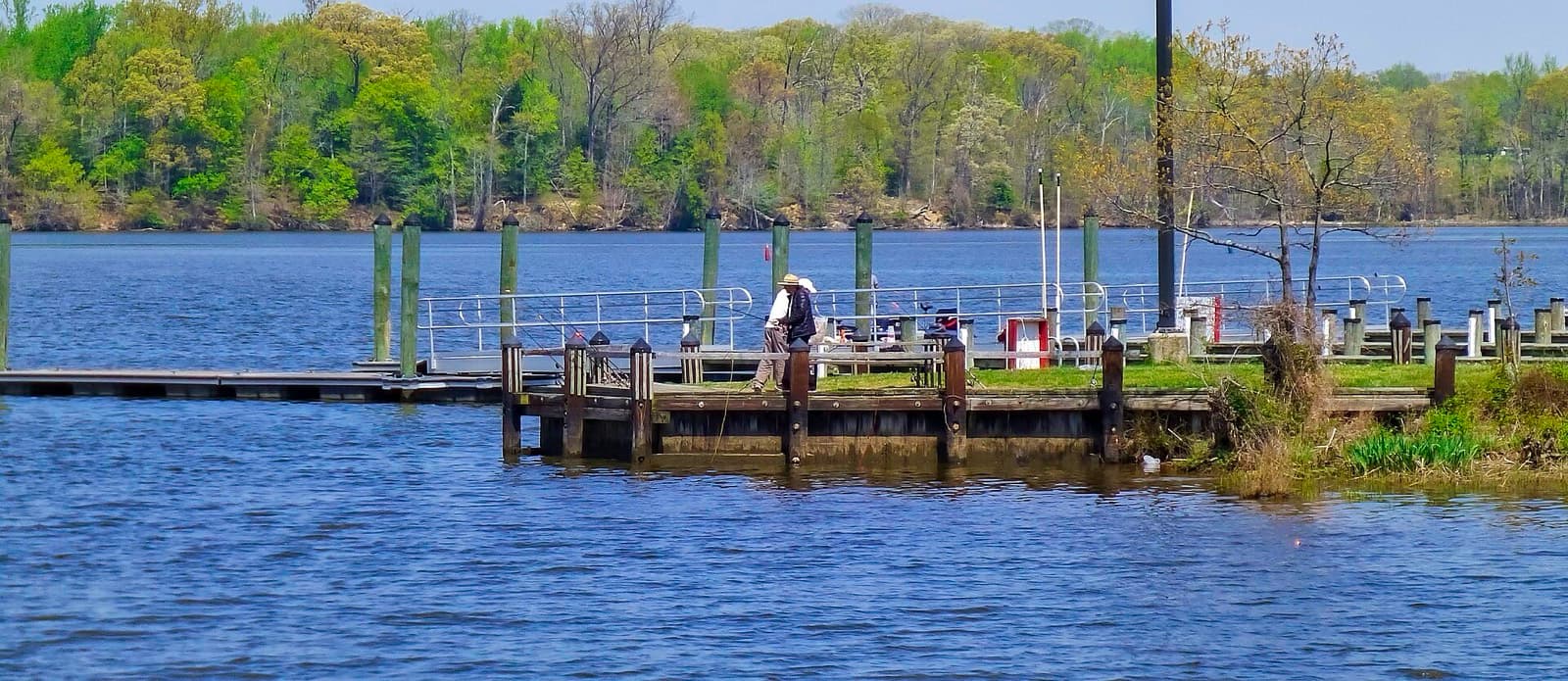 General Smallwood Triathlon: smallwood state park marina dock on mattawoman creek in april — destination scenery near marbury; not a photo of this event.