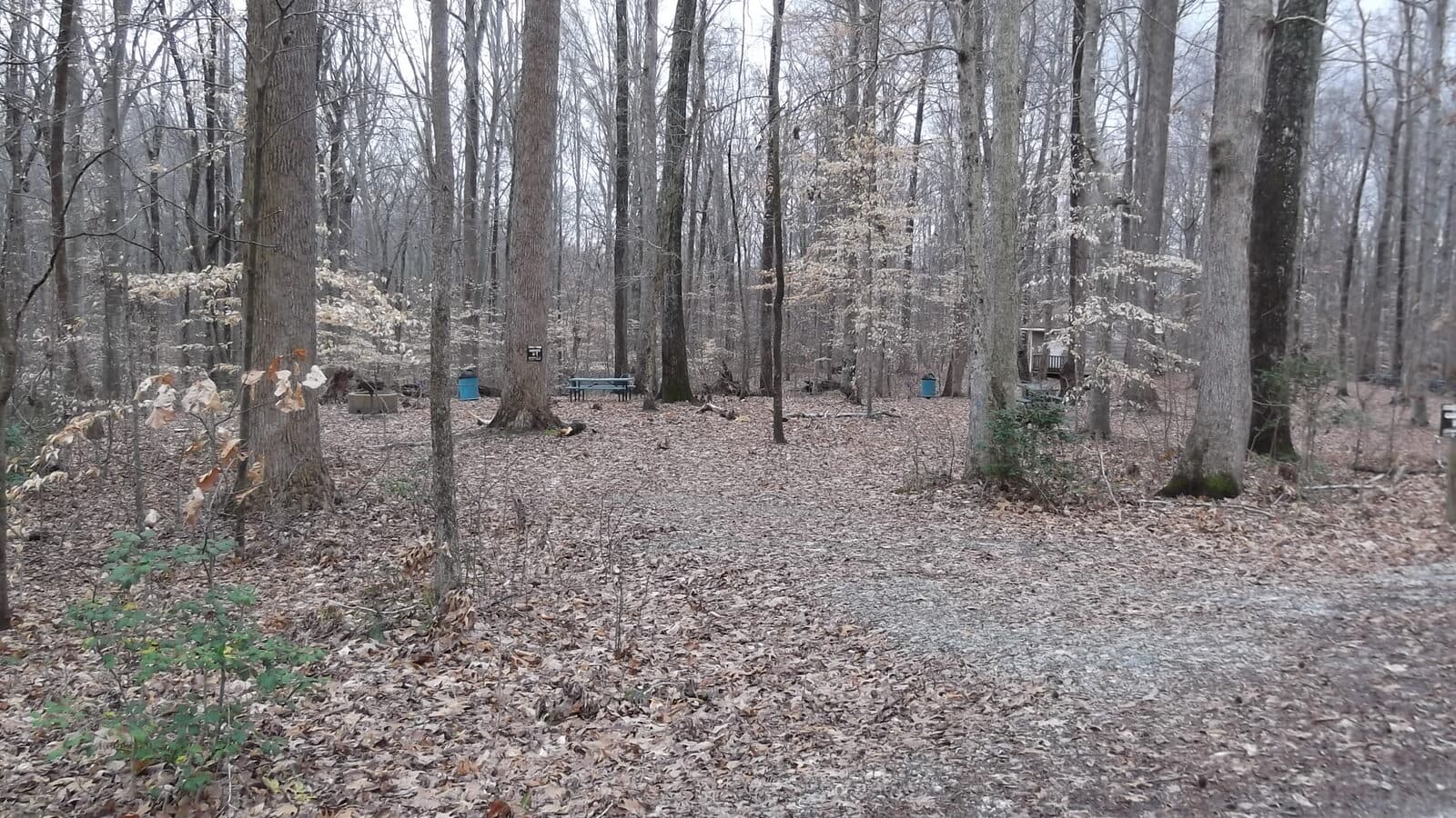 Gobbler 5K, 10K, 13.1M, & 26.2M at Williamsburg, VA (47): destination scenery in williamsburg, united states; location photo, not race day.