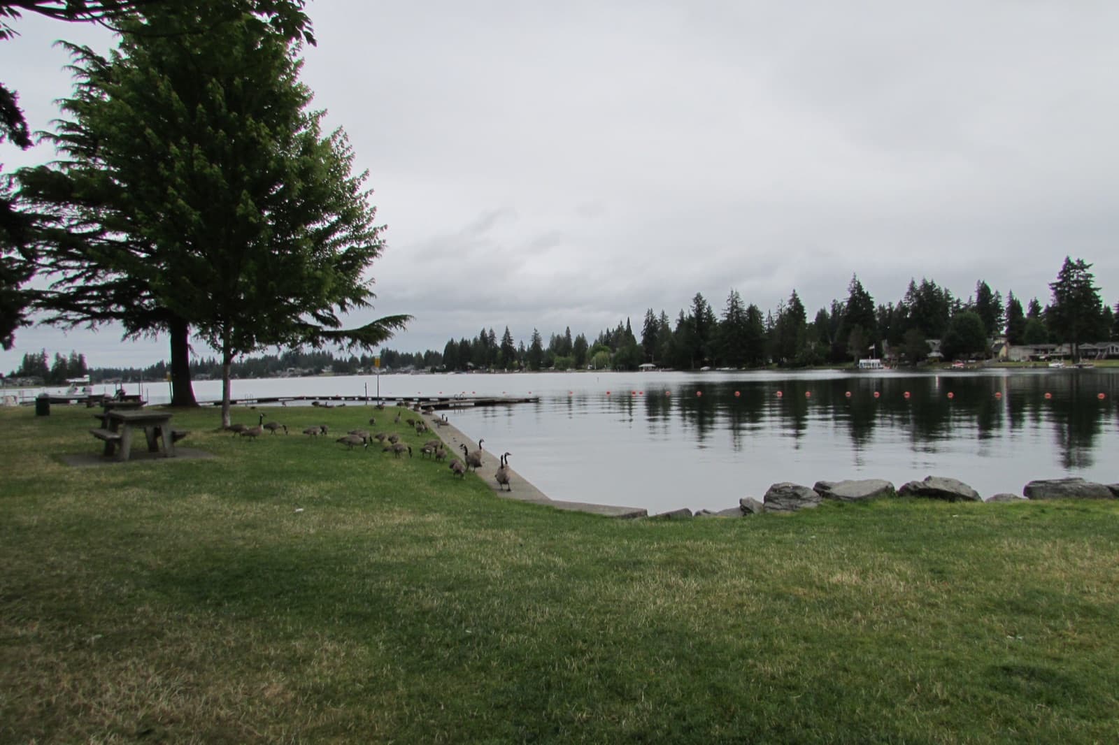 Bonney Lake Triathlon: the lake tapps swimming area at allan yorke park, the event swim venue — destination scenery near bonney lake; not a photo of this event.
