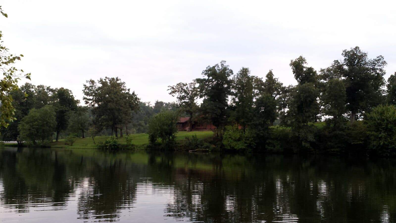 Ozark Valley Triathlon: lake wedington near fayetteville, arkansas, the lake used for the ozark valley triathlon swim. shows the lake and shoreline; no race imagery.