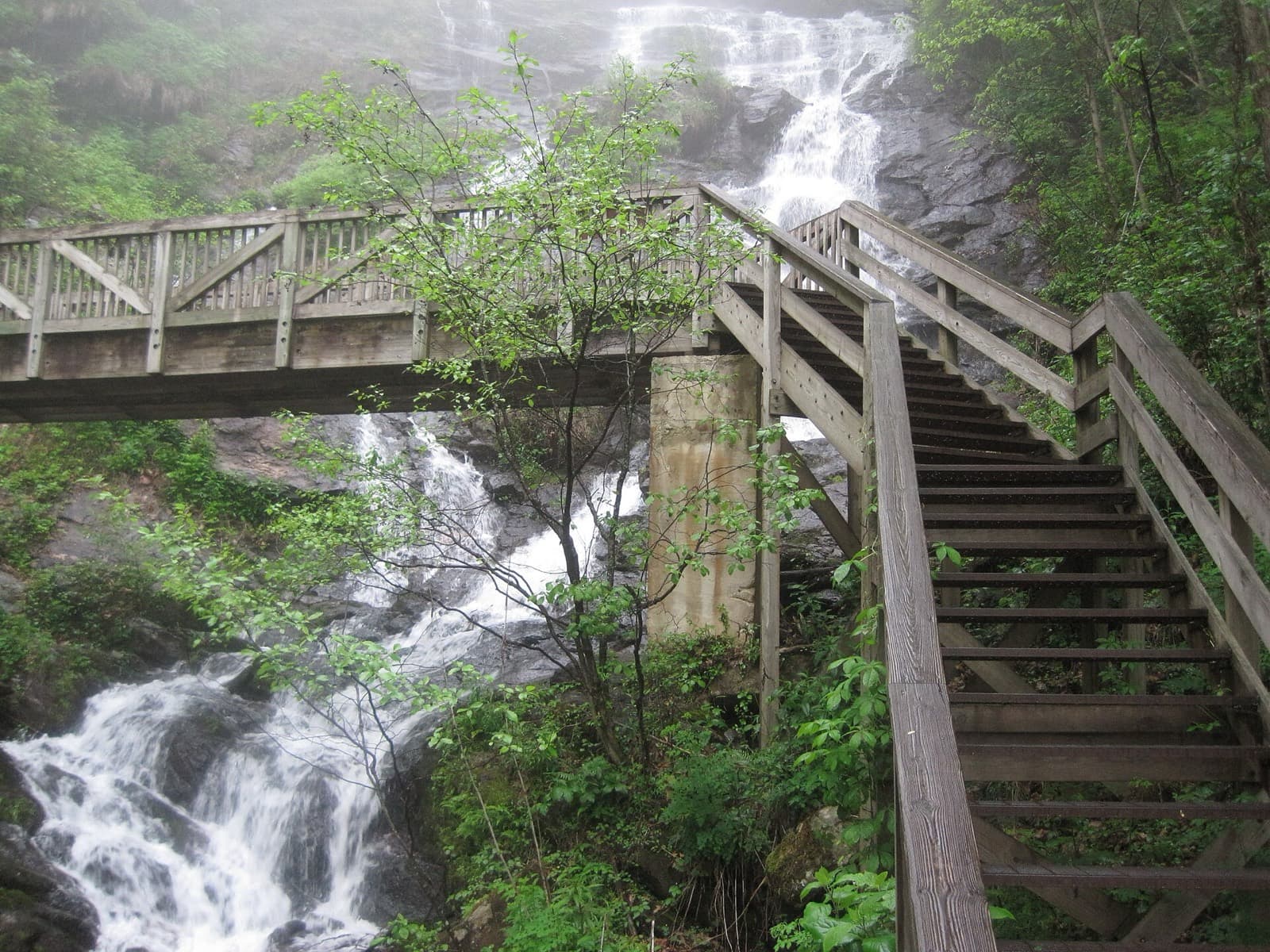 InFirst Bank Veteran's Marathon, Half Marathon, and Marathon Relay: destination scenery in blairsville, united states; location photo, not race day.