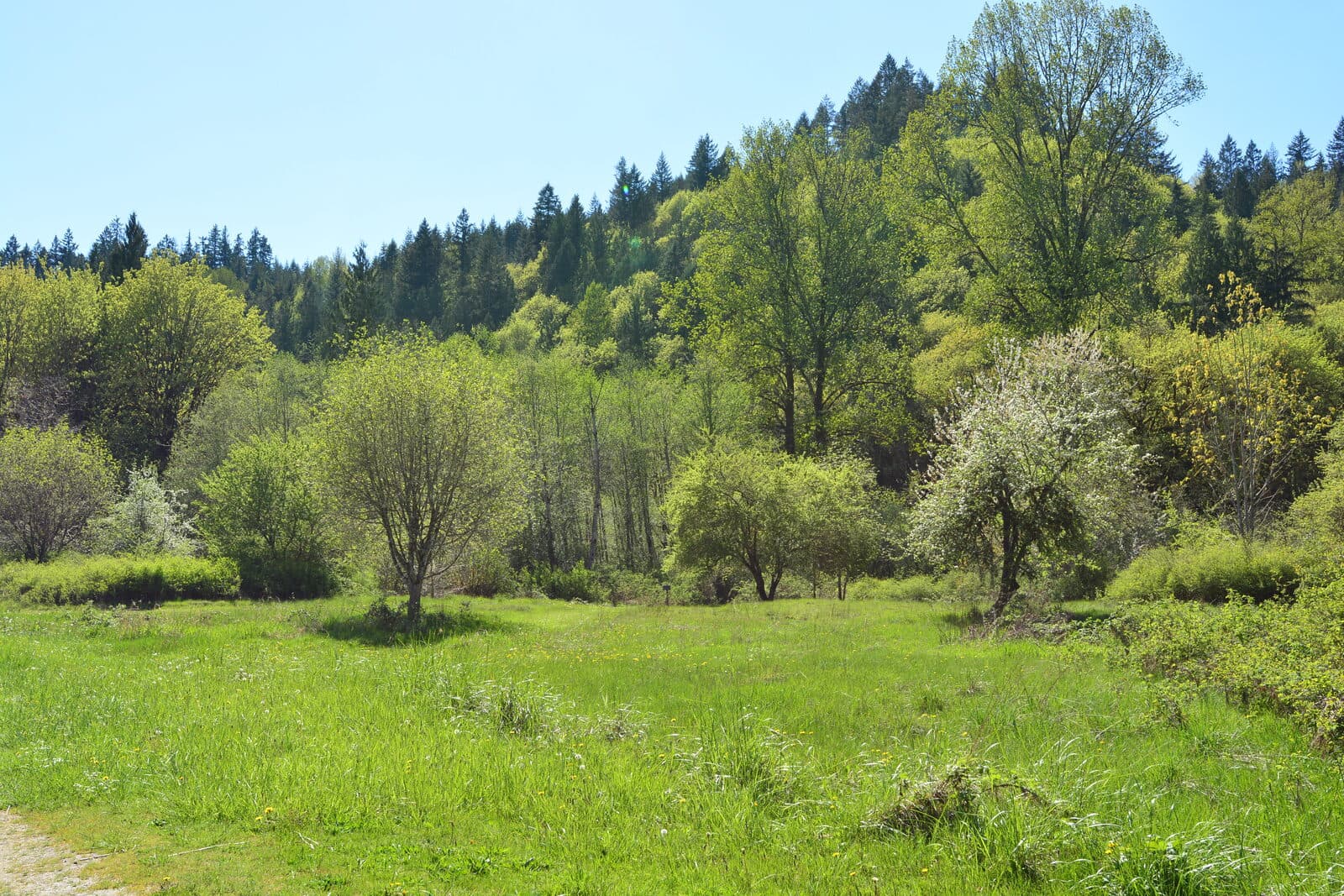 Beat the Blerch: destination scenery in carnation, united states; location photo, not race day.