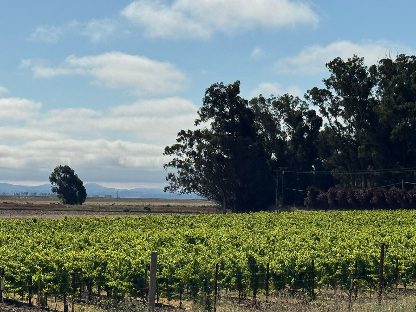 Tri to Inspire: destination scenery in santa rosa, united states; location photo, not race day.