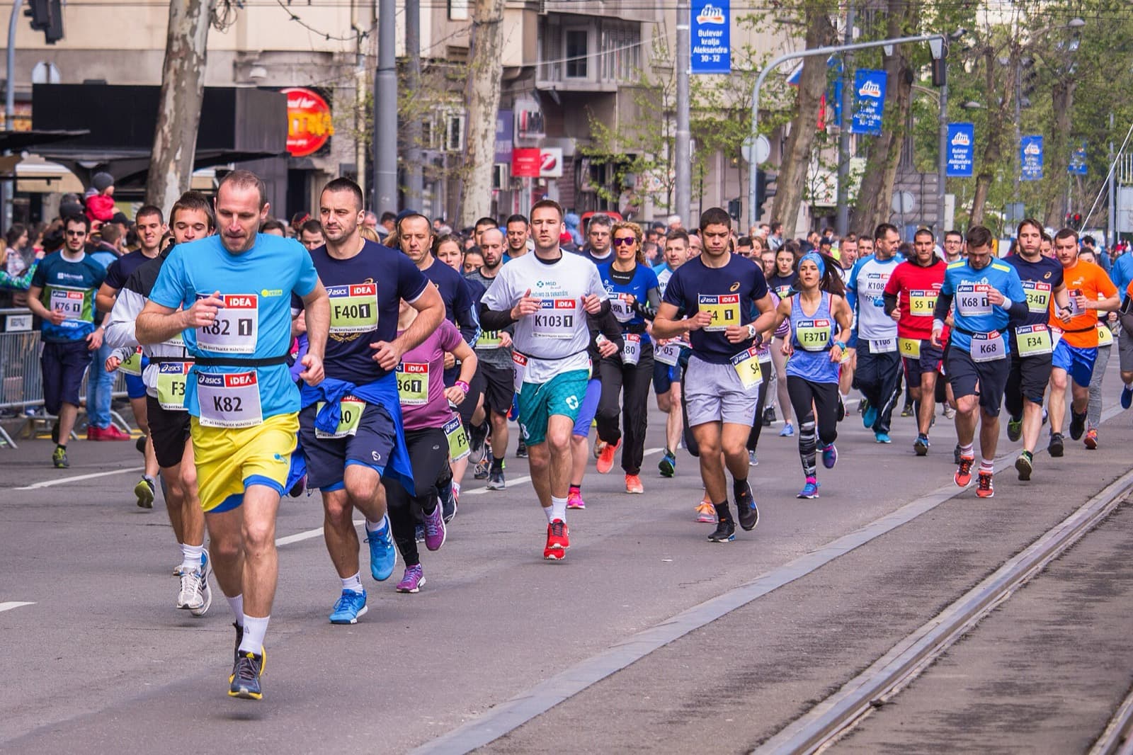 Belgrade Marathon: mass of runners on bulevar kralja aleksandra, belgrade marathon 2017