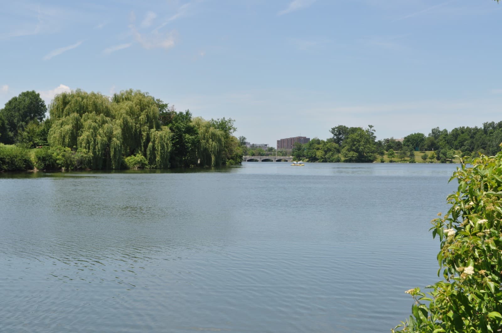 Buffalo Marathon: delaware park lake, buffalo, which the course passes