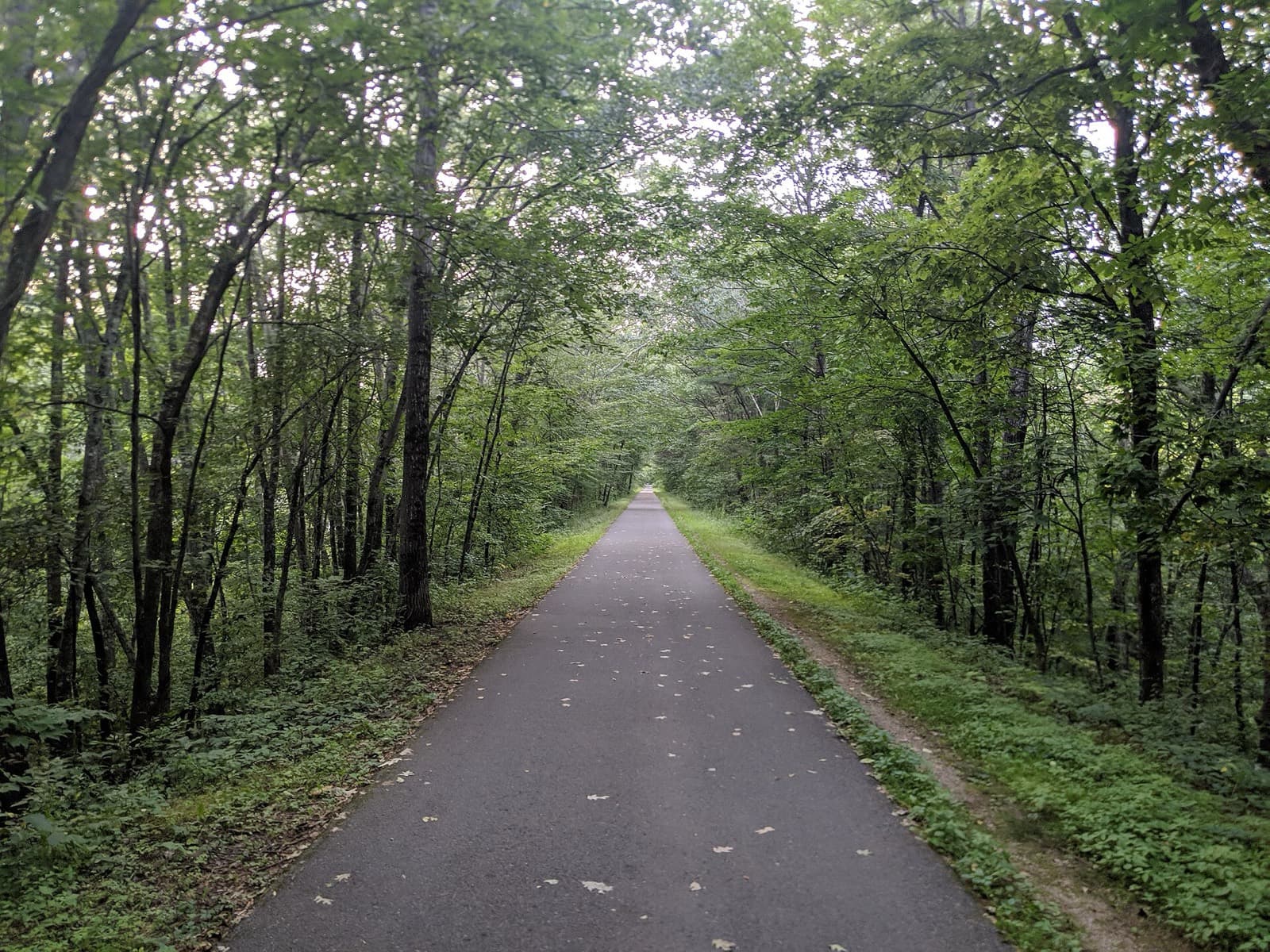 The Cheap Marathon: windham rail trail, the course surface