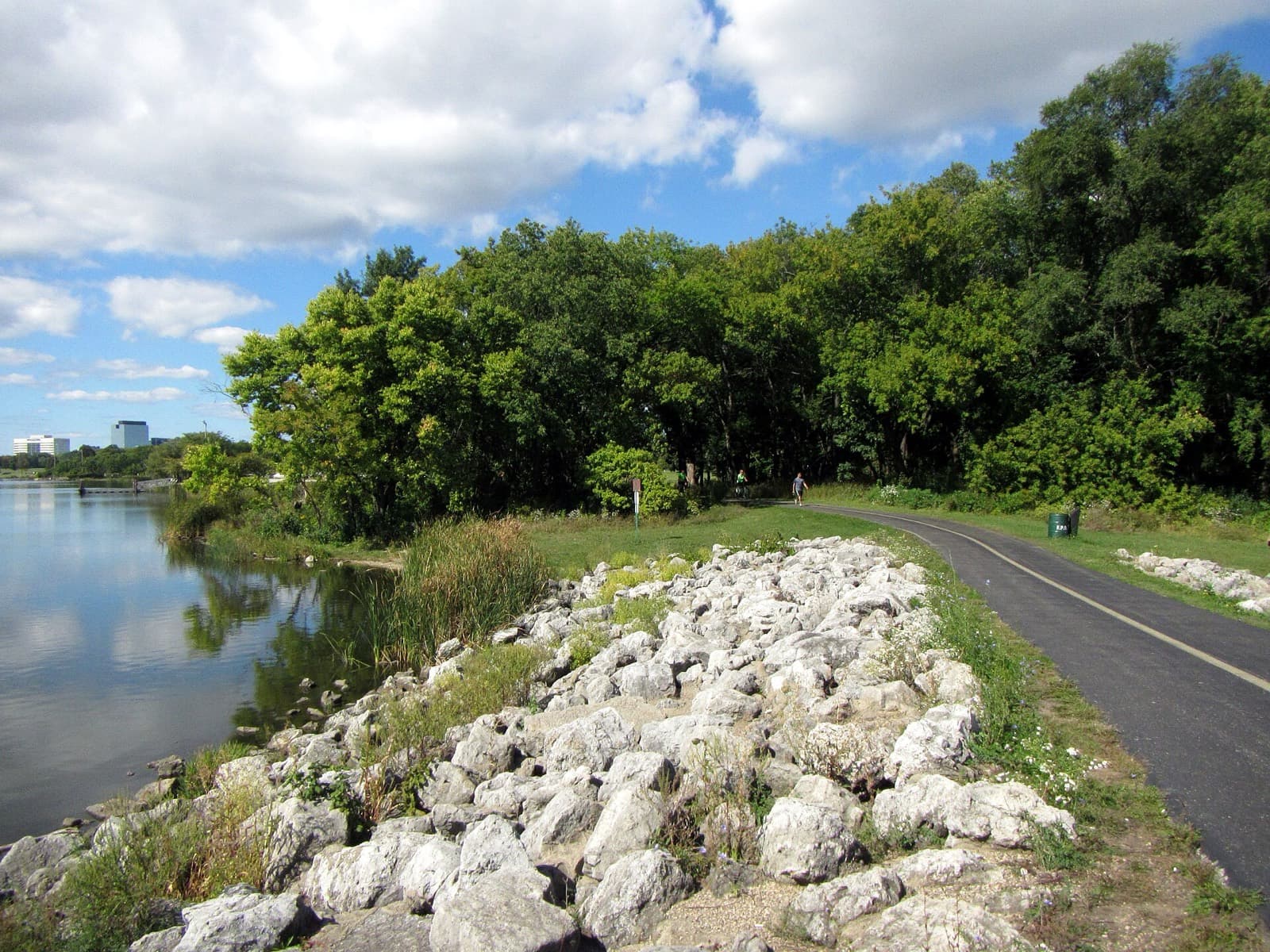 Chicagoland Spring Marathon: paved busse woods bicycle trail beside a lake, the course surface
