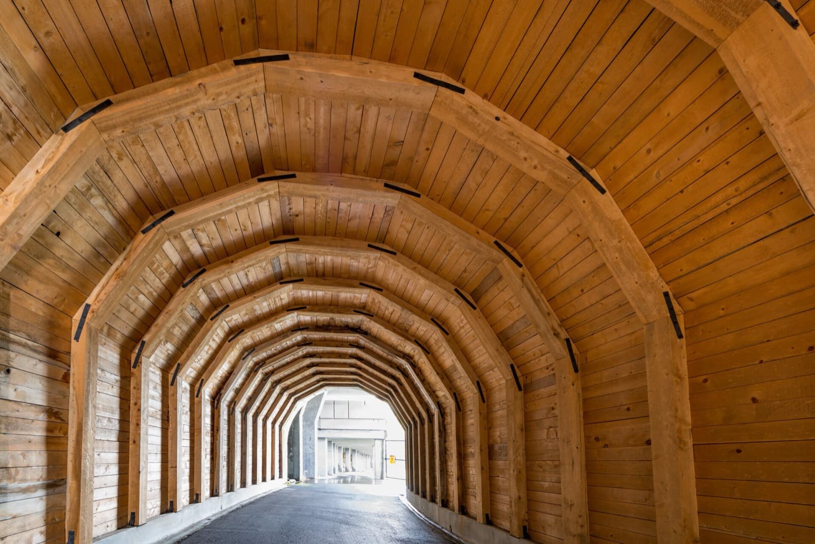 Columbia Gorge Marathon: twin tunnels on the historic columbia river highway state trail, near km 6 (mile 4) of the course