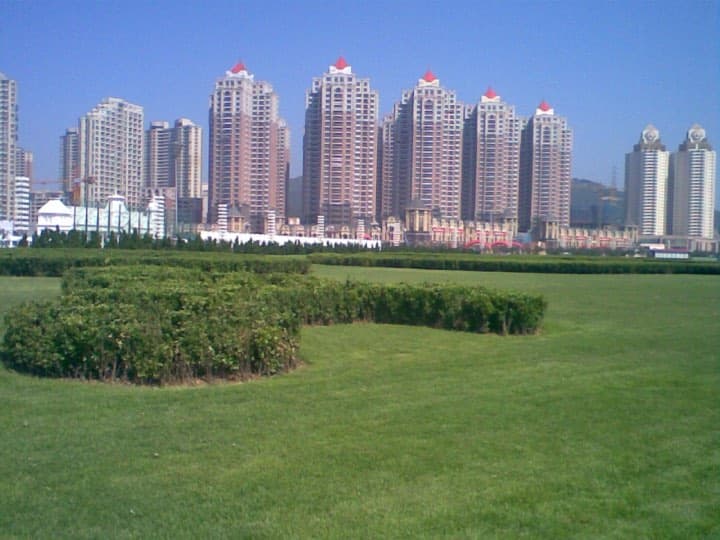 Race photo: Dalian International Marathon