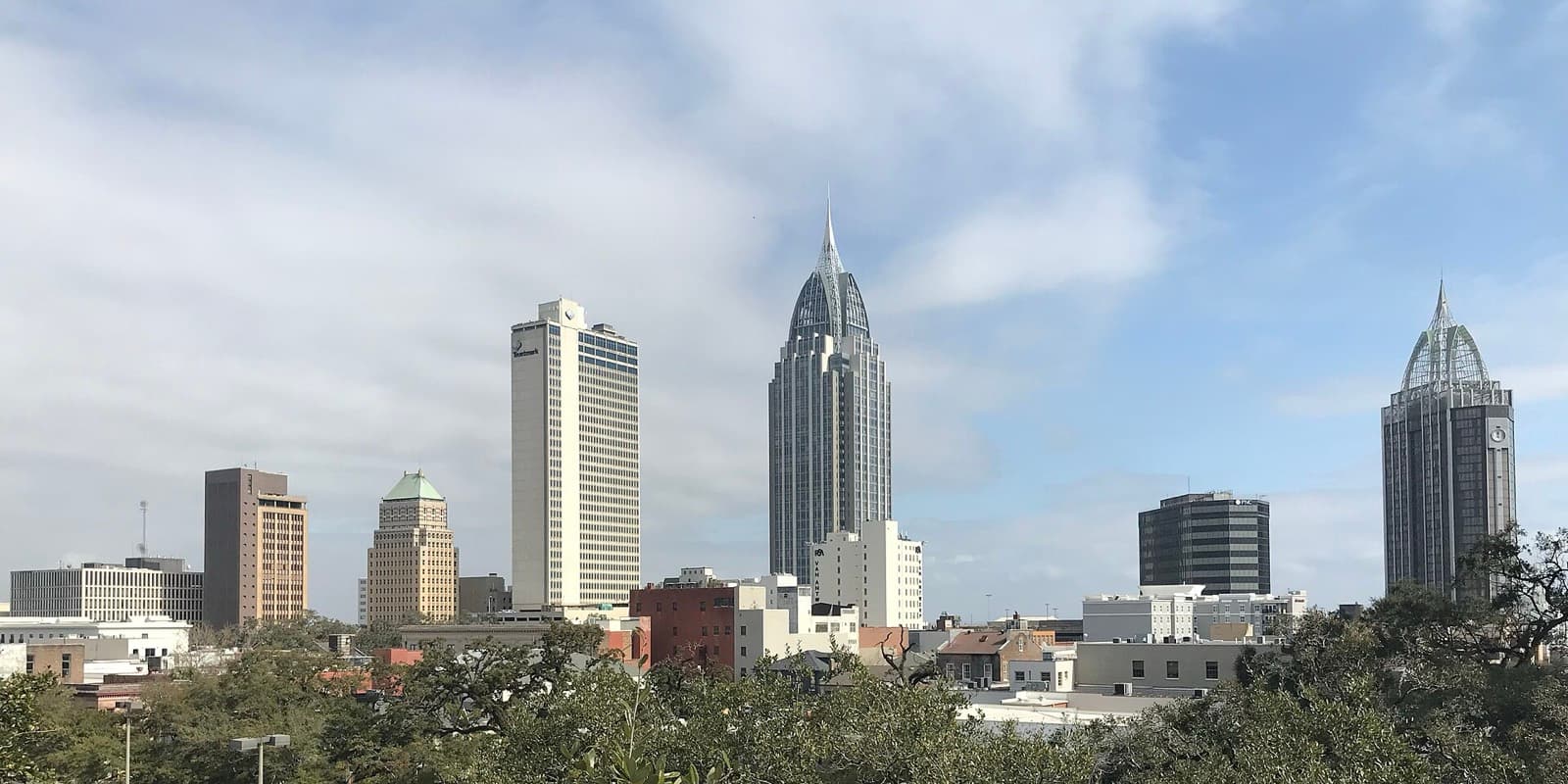 Mobile Marathon: downtown mobile skyline above the oak canopy