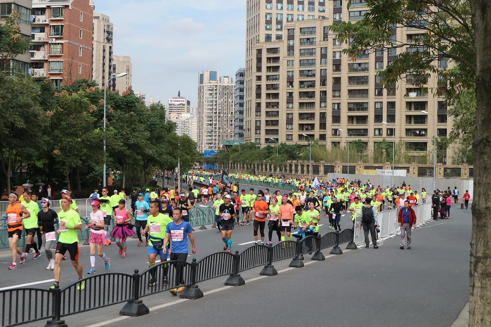 Shanghai International Marathon: runners on a tree-lined boulevard at the shanghai international marathon 2016
