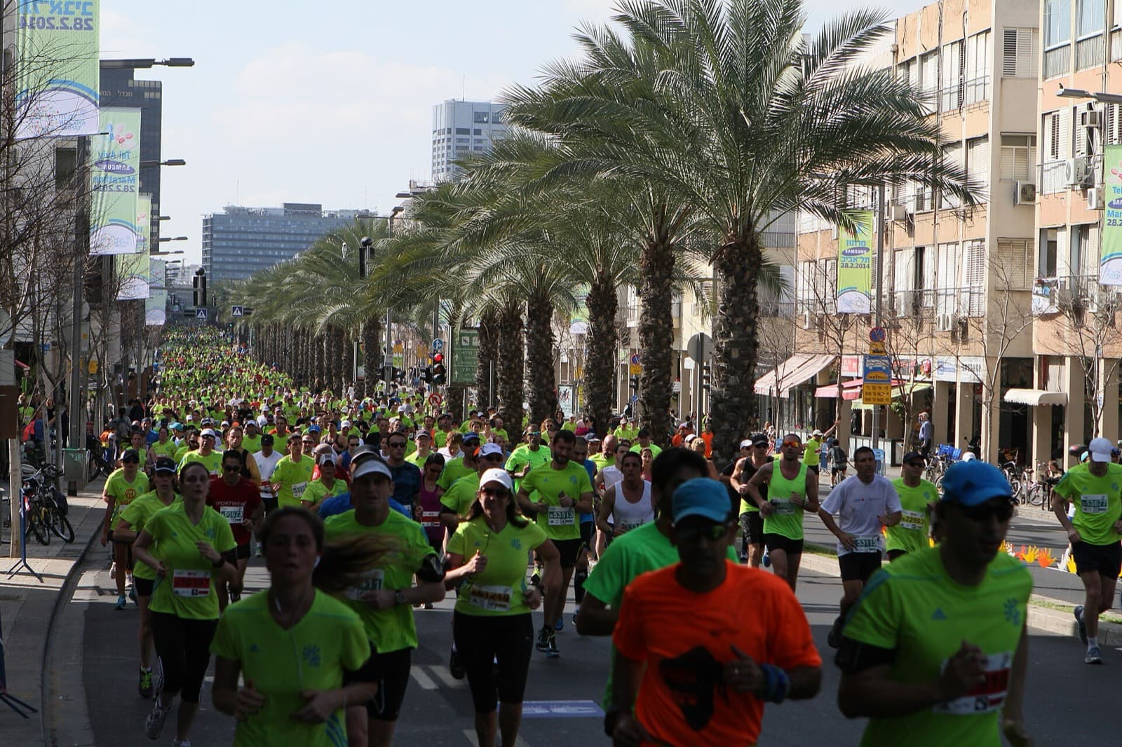 Tel Aviv Bank Leumi Marathon: runners on a palm-lined avenue in the 2014 marathon