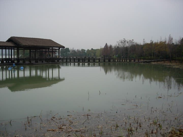 Race photo: Wuxi Marathon