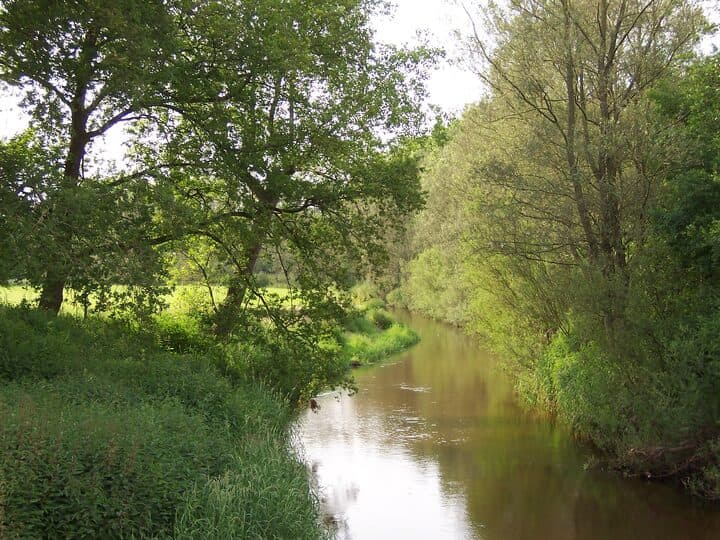 The River Dinkel near Losser