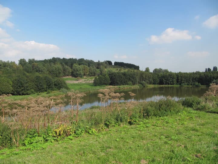 Pond and wooded hills in the Hoge Bergse Bos, Bergschenhoek