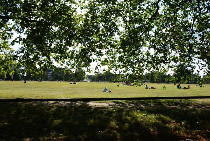 Clapham Common on a summer afternoon