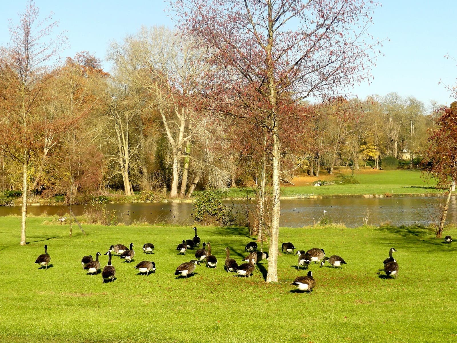 Chateau de Chantilly Triathlon (Castle Series): grand canal, chantilly estate park (swim venue)