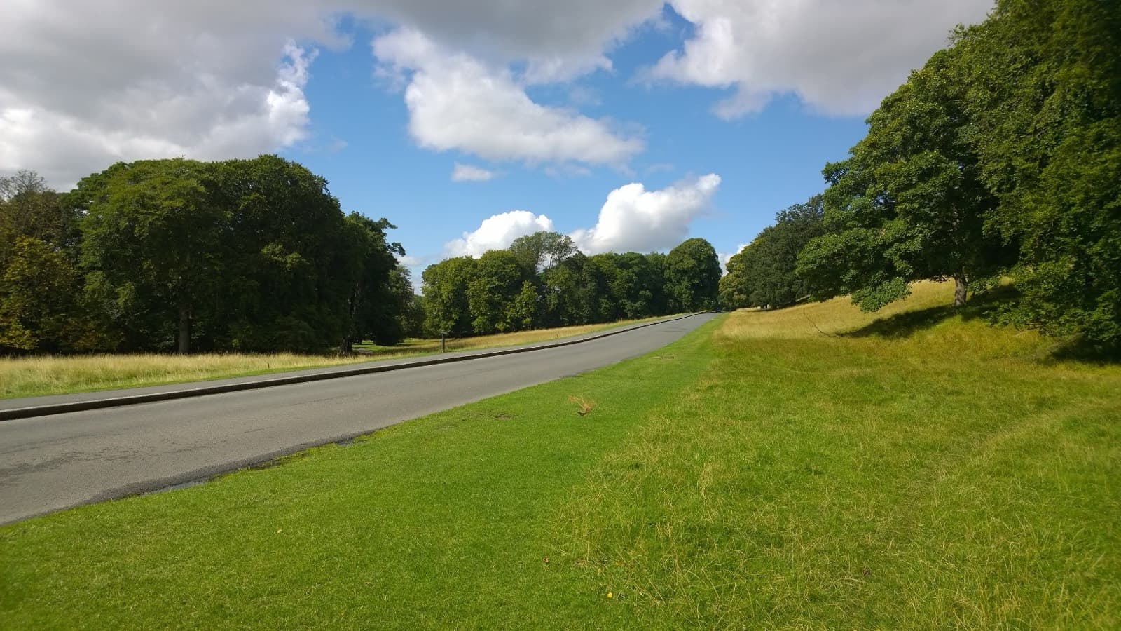 Dublin City Triathlon: phoenix park road, bike and run course area