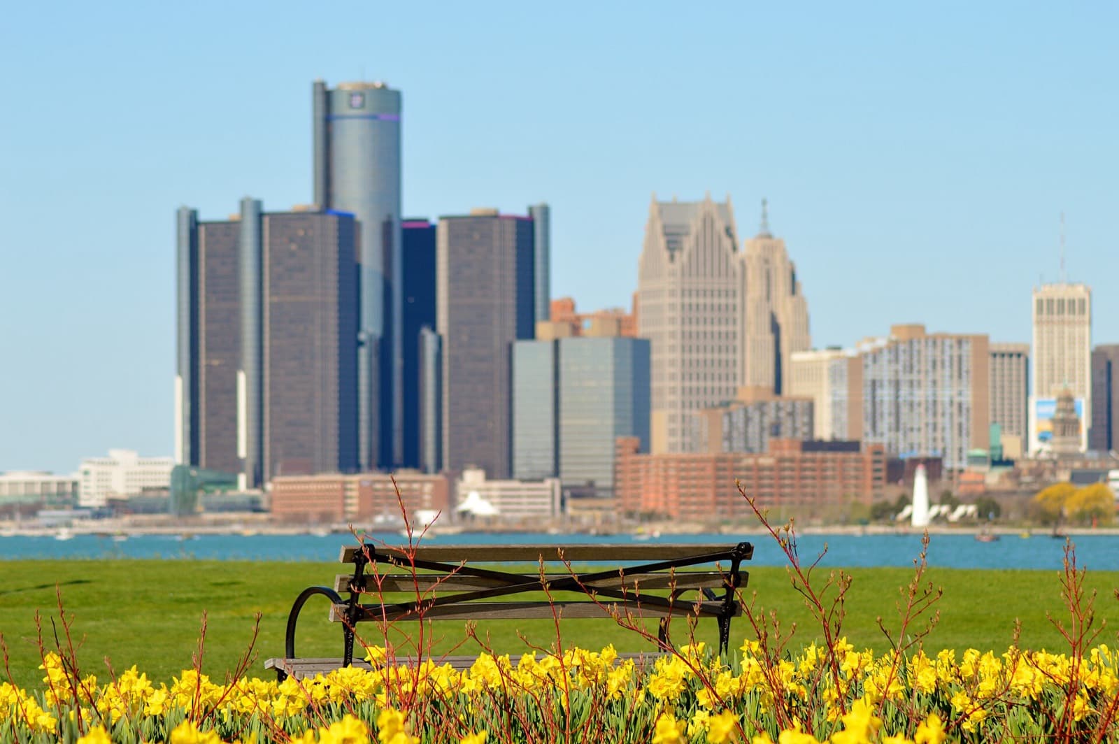 Motor City Triathlon: detroit skyline seen from belle isle