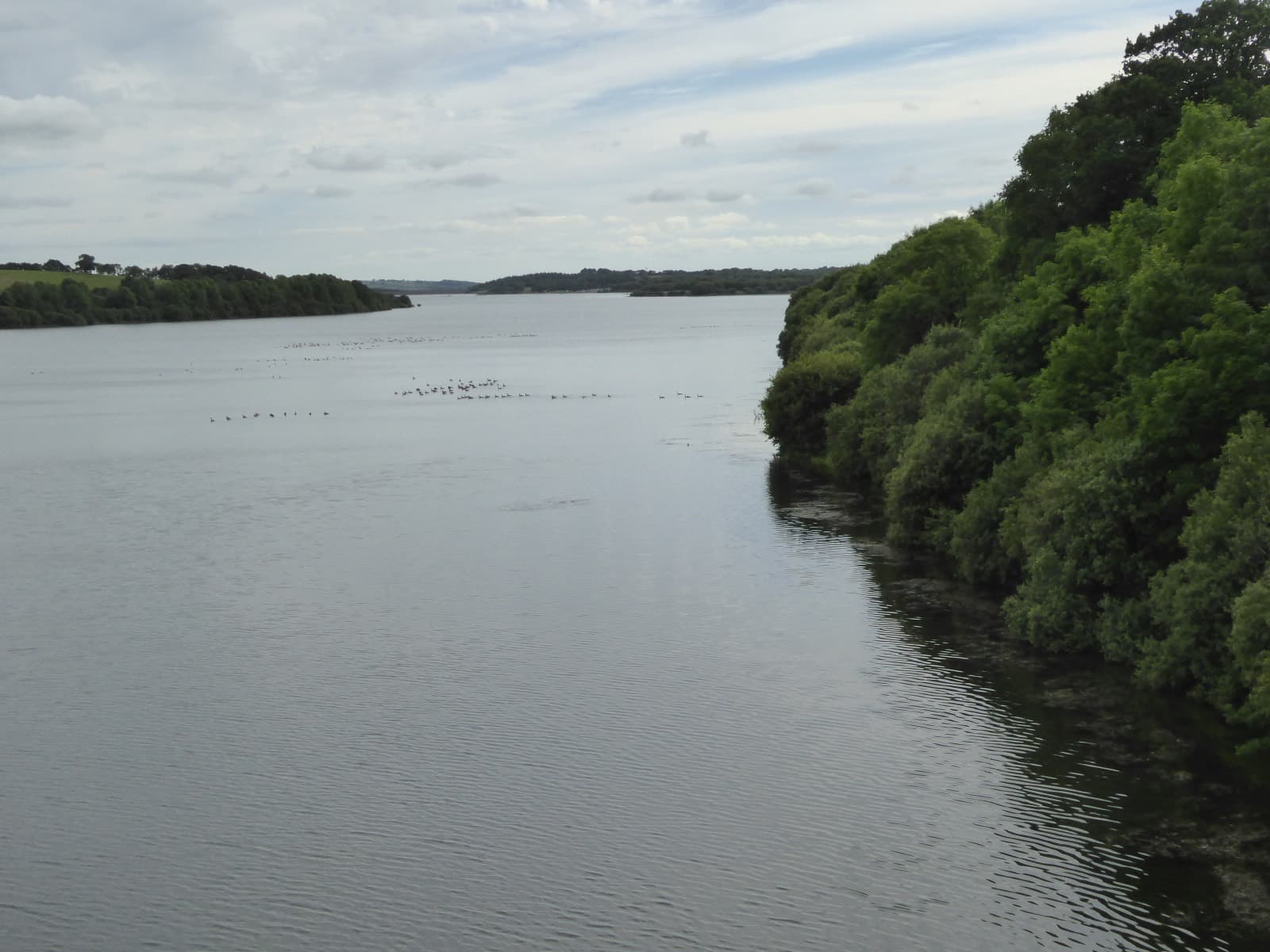 Roadford Lake Triathlon: roadford lake, devon, the swim venue