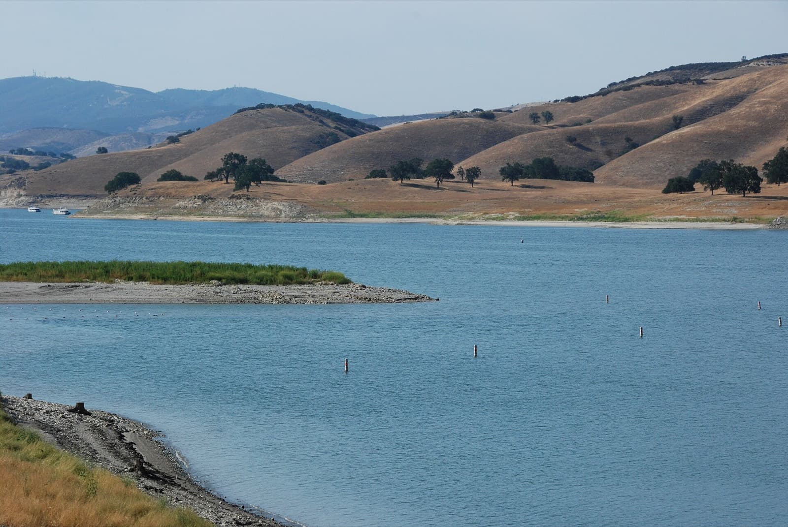 Wildflower Experience (Olympic and sprint): lake san antonio, the swim venue, with golden hills