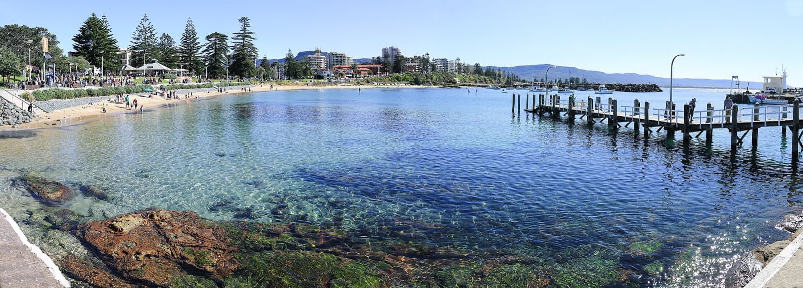Australian Triathlon Championships (Wollongong Triathlon Festival): cove beach and wollongong harbour, the 2025 championship swim start