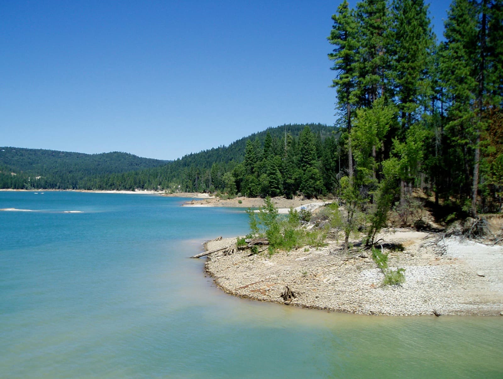 Barbara Schmidt Millar Women's Triathlon: scotts flat lake with forested shoreline
