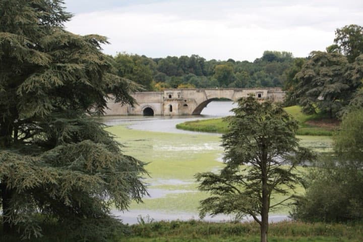 Race photo: Blenheim Palace Triathlon