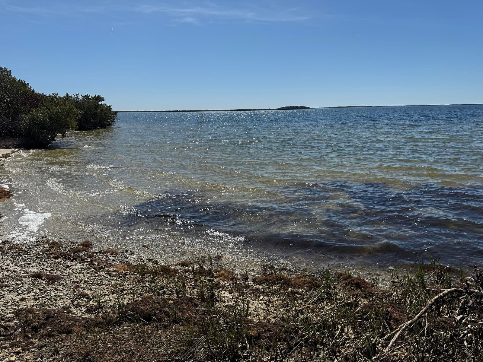 Crystal River Sprint Triathlon (Crystal River Triathlon Series): fort island gulf beach shoreline, the swim venue