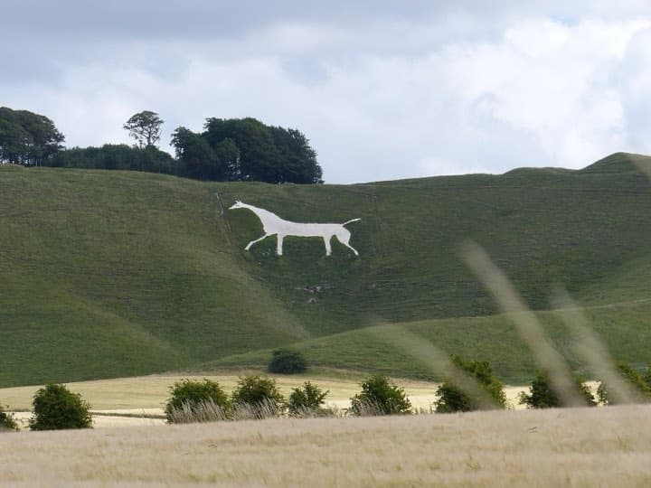 Race photo: Oldbury White Horse Sprint Triathlon