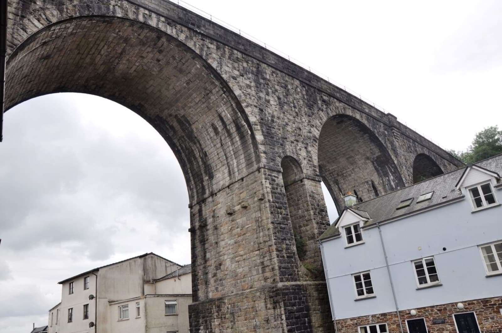Tavistock Triathlon (Sportiva Events): tavistock railway viaduct