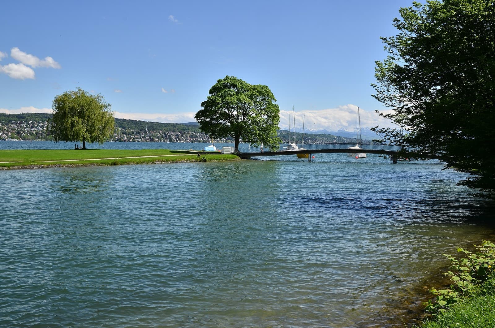 Zurich City Triathlon (ZC3): saffa island swim-start area and lake with alps