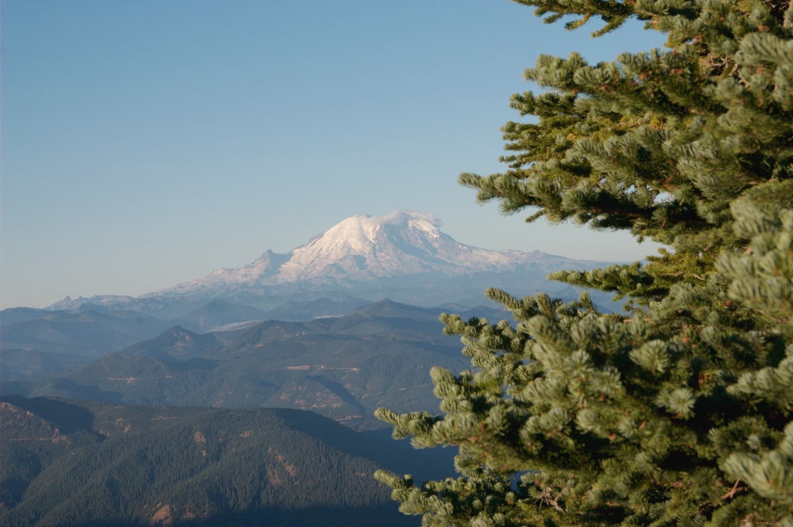 Cascade Crest 100 Mile Endurance Run: mount rainier seen from thorp mountain, a turnaround on the course