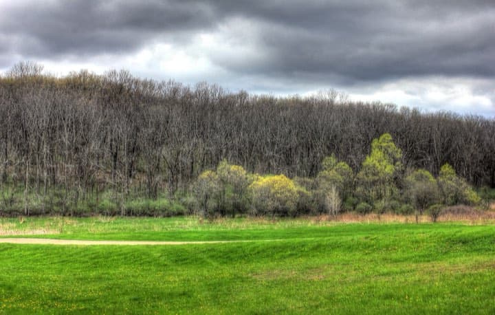 Race photo: Kettle Moraine 100 Mile Endurance Run